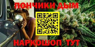 spice Обнинск