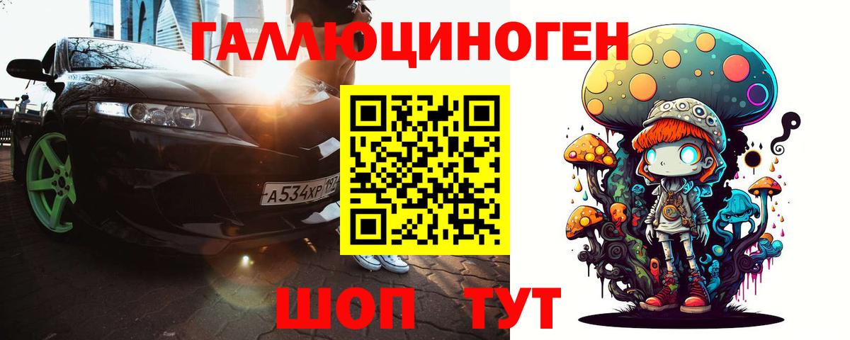 Псилоцибиновые грибы Psilocybe Тамбов